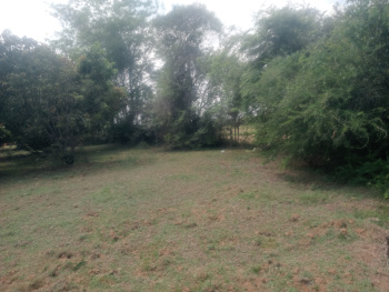 Property for sale in Cheyyar, Kanchipuram