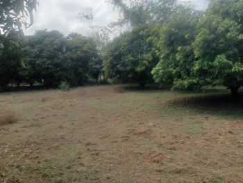 Property for sale in Cheyyar, Kanchipuram