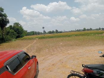 7 Acre Industrial Land / Plot for Sale in Pattukkottai, Thanjavur