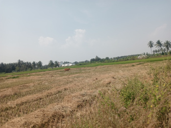 Property for sale in Pattukkottai, Thanjavur