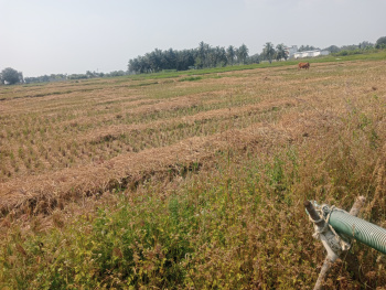 Property for sale in Pattukkottai, Thanjavur