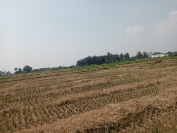 Property for sale in Pattukkottai, Thanjavur