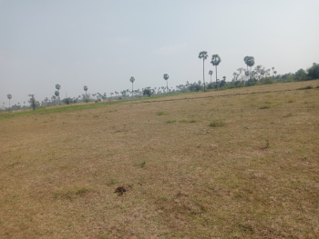 Property for sale in Pattukkottai, Thanjavur