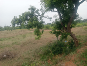 Property for sale in Cheyyar, Kanchipuram