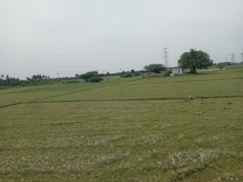 Property for sale in Vadakkupattu, Kanchipuram