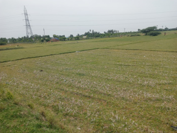 Property for sale in Vadakkupattu, Kanchipuram