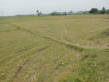 Property for sale in Vadakkupattu, Kanchipuram