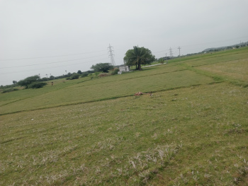 Property for sale in Vadakkupattu, Kanchipuram