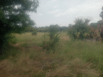 Agricultural/Farm Land for Sale in Uthiramerur, Kanchipuram (1.10 Acre)
