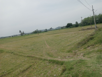Property for sale in Uthiramerur, Kanchipuram