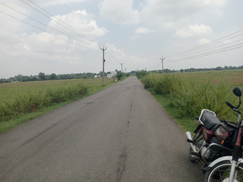 Agricultural/Farm Land for Sale in Maduranthakam, Chengalpattu (1.20 Acre)
