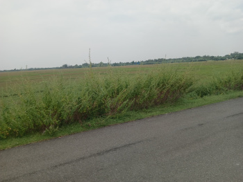 Property for sale in Pulipakkam, Chengalpattu