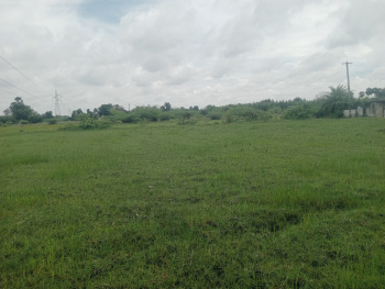 Agricultural/Farm Land for Sale in Alapakkam, Kanchipuram (1.50 Acre)