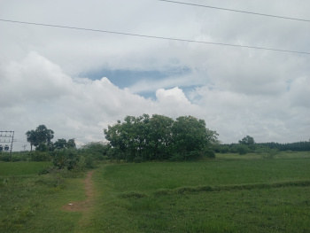 Property for sale in Alapakkam, Kanchipuram