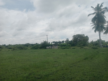 Property for sale in Alapakkam, Kanchipuram