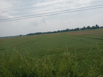 Property for sale in Alapakkam, Kanchipuram