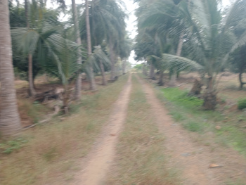 1 BHK Farm House for Sale in Maiyur, Chengalpattu (500 Sq.ft.)