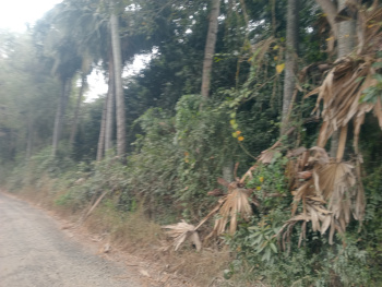 Property for sale in Maiyur, Chengalpattu