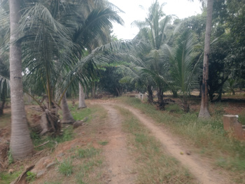 Property for sale in Maiyur, Chengalpattu