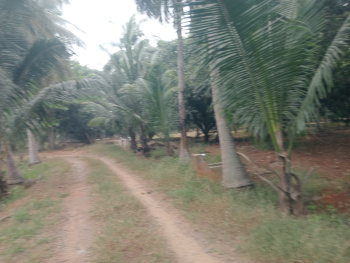 Property for sale in Maiyur, Chengalpattu