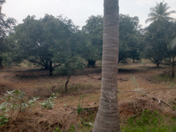 Property for sale in Maiyur, Chengalpattu