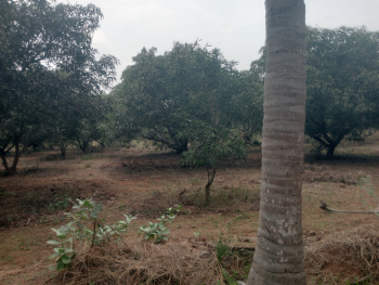 Property for sale in Maiyur, Chengalpattu