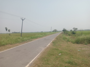 97 Cent Agricultural/Farm Land for Sale in Maduranthakam, Chengalpattu