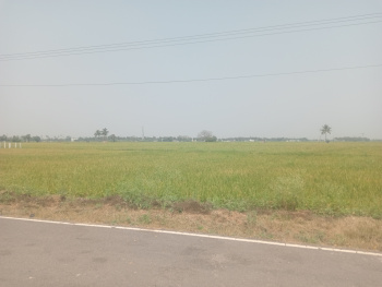 Property for sale in Maduranthakam, Chengalpattu