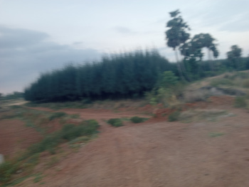 Agricultural/Farm Land for Sale in Maduranthakam, Chengalpattu (1.67 Acre)