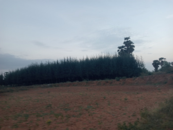 Property for sale in Maduranthakam, Chengalpattu