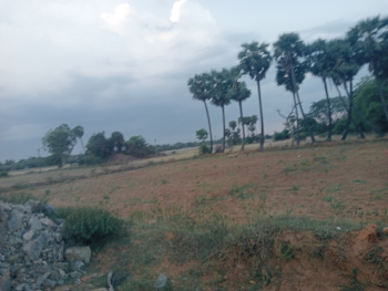 Property for sale in Maduranthakam, Chengalpattu