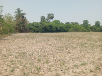 Agricultural/Farm Land for Sale in Uthiramerur, Kanchipuram (1 Acre)