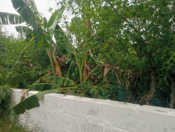 Property for sale in Uthiramerur, Kanchipuram