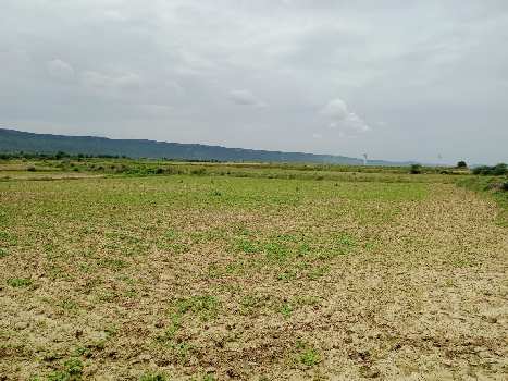500 Bigha Agriculture land for sale in Bundi District