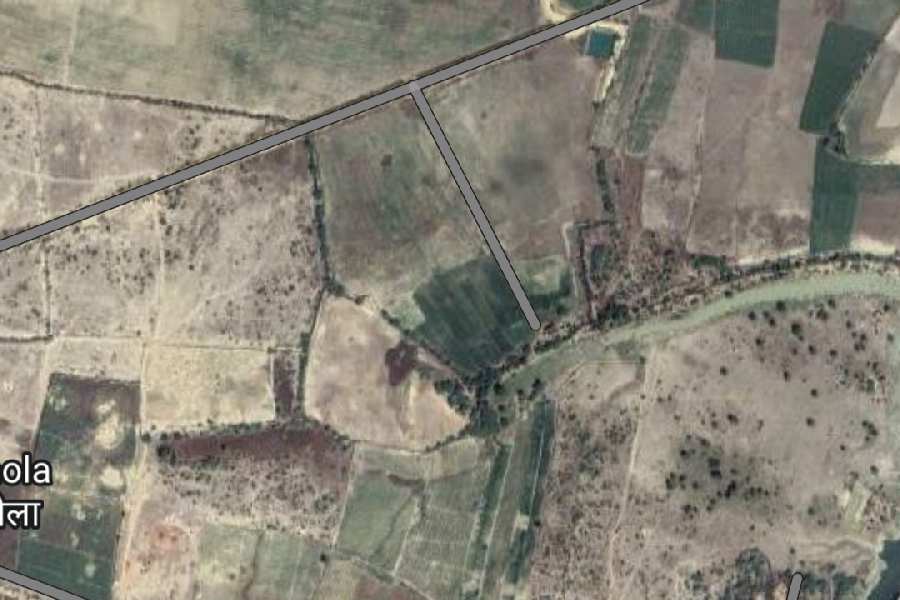 For Sale 97 Bigha Agriculture Land in Tonk District
