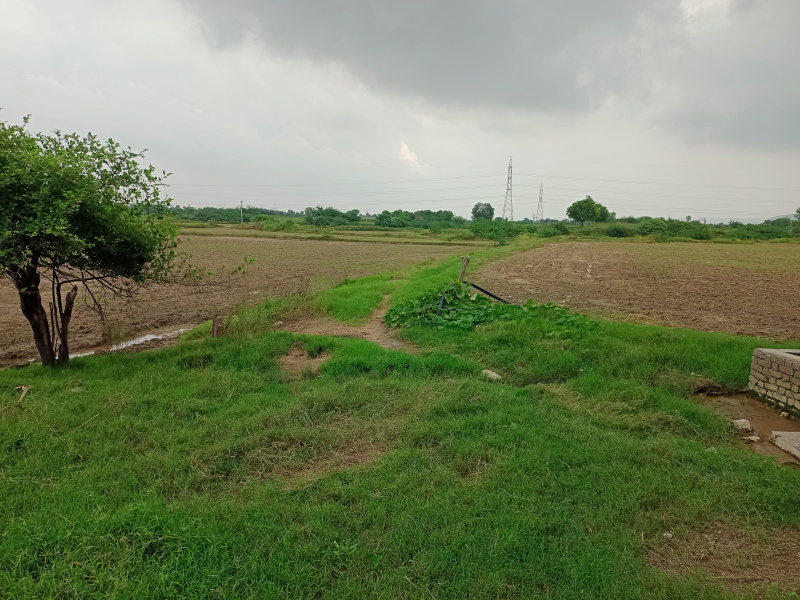 31 bigha agriculture land in badgao village hindoli tehshil bundi