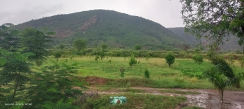 A LUXURIOUS FARM LAND FOR SALE NEAR TIGER RESERVE