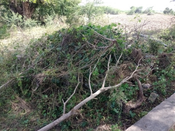 Property for sale in Keshoraipatan, Bundi