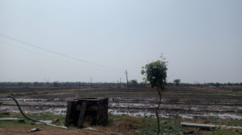 97 Bigha Agricultural/Farm Land for Sale in Khandar, Sawai Madhopur