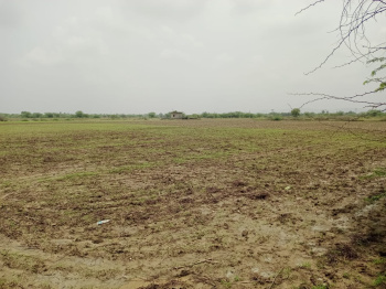 150 Bigha Agricultural/Farm Land for Sale in Uniara, Tonk