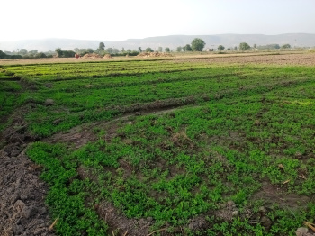 Property for sale in Hindoli, Bundi