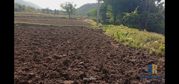 Premium 7 Bigha 18 Biswa Land for Sale – Bundi District, Rajasthan