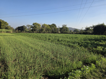 Prime Agricultural Land for Sale near Ramgarh Tiger Reserve, Bundi