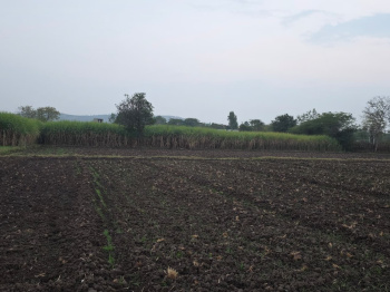 Bundi Ramgarh Tiger Reserve ke Pass 8 Bigha General Category Fertile Agricultural Land for Sale | NH-52 Near