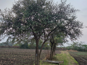Property for sale in Hindoli, Bundi