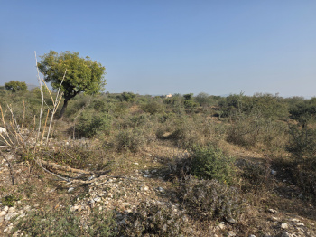 Property for sale in Kurabad, Udaipur