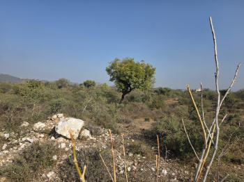 Property for sale in Kurabad, Udaipur