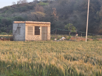 8 bigha land available for Resort project