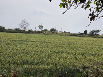 Property for sale in Hattipura, Bundi