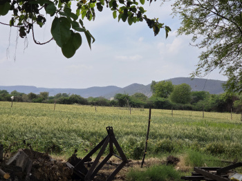 2.7761 hector land available for out right in Bundi District